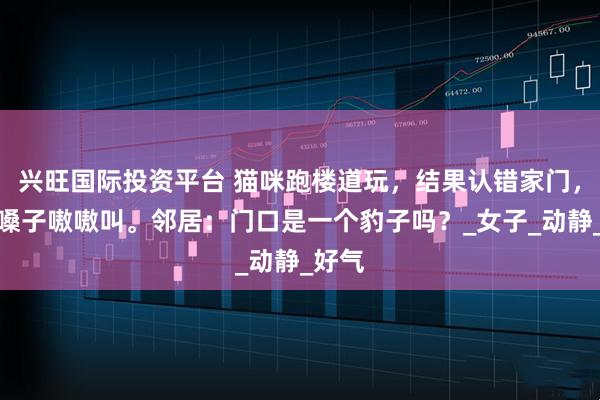 兴旺国际投资平台 猫咪跑楼道玩，结果认错家门，扯着嗓子嗷嗷叫。邻居：门口是一个豹子吗？_女子_动静_好气