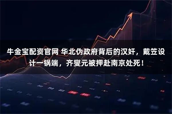 牛金宝配资官网 华北伪政府背后的汉奸，戴笠设计一锅端，齐燮元被押赴南京处死！