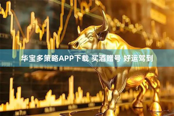 华宝多策略APP下载 买酒赠号 好运驾到