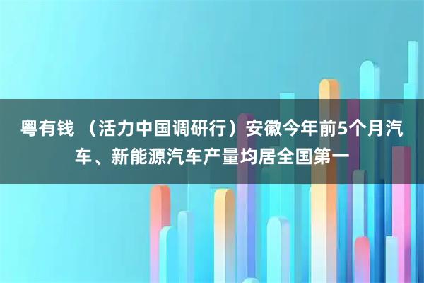 粤有钱 （活力中国调研行）安徽今年前5个月汽车、新能源汽车产量均居全国第一