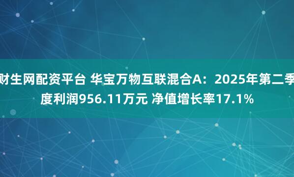 财生网配资平台 华宝万物互联混合A：2025年第二季度利润956.11万元 净值增长率17.1%