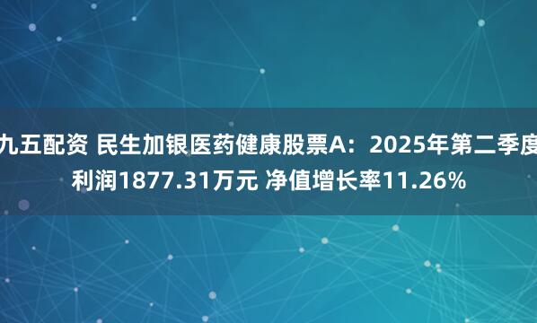 九五配资 民生加银医药健康股票A：2025年第二季度利润1877.31万元 净值增长率11.26%