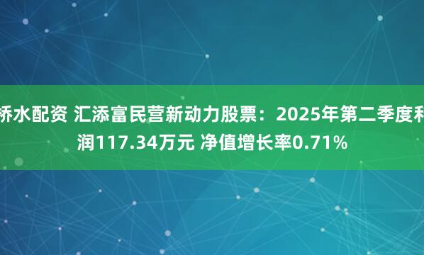 桥水配资 汇添富民营新动力股票：2025年第二季度利润117.34万元 净值增长率0.71%