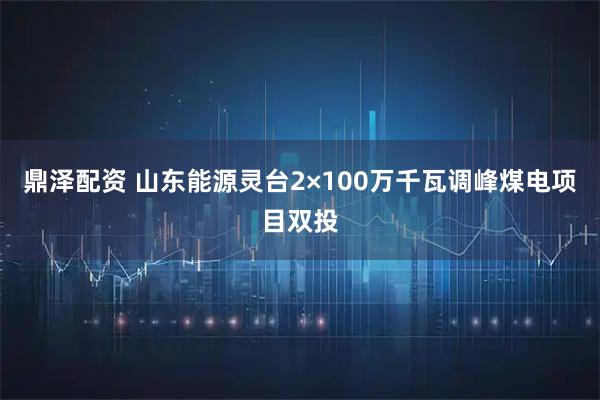 鼎泽配资 山东能源灵台2×100万千瓦调峰煤电项目双投